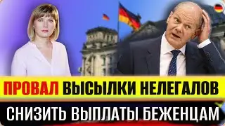 Провал высылки нелегалов/Сократить выплаты беженцам/Рекорд по натурализации/Снижение доходов