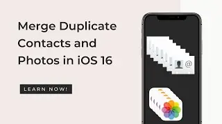 Delete duplicate contacts or photos in iOS16 and iPadOS16
