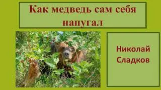 Николай Сладков 