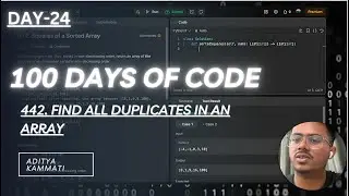 Day 24: LeetCode 442. Find All Duplicates in an Array | 100-Day Challenge