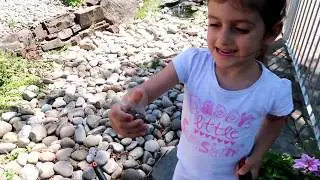 Evelina gospodina a decis sa mai faca cate ceva prin gradina