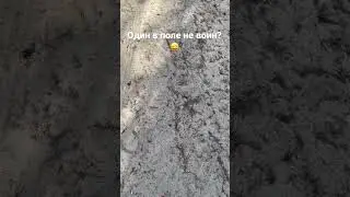 В жизни мы не всегда выбираем, где взросло наше семечко, но наша Воля к Жизни решает многое 💪
