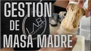 GESTION DE LA MASA MADRE EN MICROPANADERIA