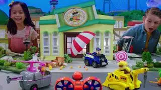 Paw Patrol Βασικά Οχήματα - Spin Master