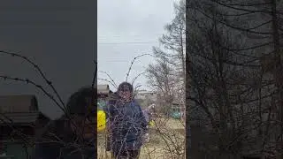 Дачный сезон объявляется открытым! #дача #реставрация #дом #рекомендации