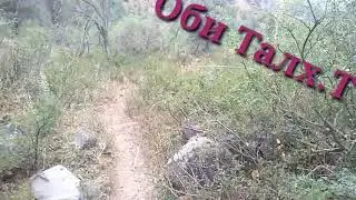 Мархамат ба дараи Хакобича.