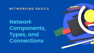 Networking Basics: Network Components, Types, and Connections