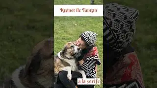 Tanışalım Kısmet 🐶 