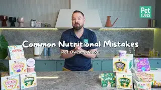 Common Nutritional Mistakes Pet Owners Make | How To Feed Your Pet Better