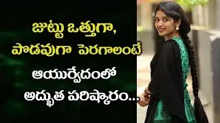 మీ జుట్టు ఒత్తుగా పెరగాలంటే ఇలా చేయండి || Hair Growth Tips