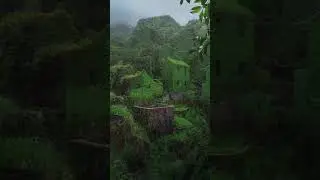 тут пишете название группы