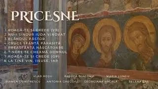 COLAJ Pricesne - Vlad Roșu & Raluca Diaconu