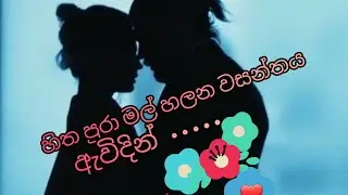 හිත පුරා මල් හලන වසන්තය ඇවිදින්  ( mature love ❤  ) @ JANU  9522 💜💜