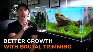 GET BETTER AQUARIUM PLANT GROWTH WITH THIS TRIMMING TIP!