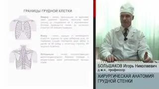 Лекция. Хирургическая анатомия грудной стенки — Большаков