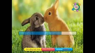 trời nắng trời mưa karaoke