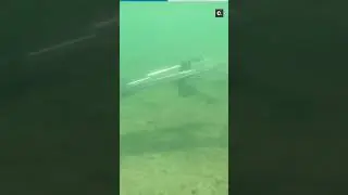 Беспилотник, умеющий нырять под воду и выныривать