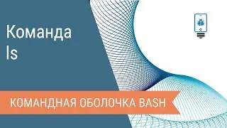 Команда ls в командной оболочке bash