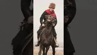 Кабардинские лошади