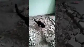 Стяжка пола, грязно надругались.