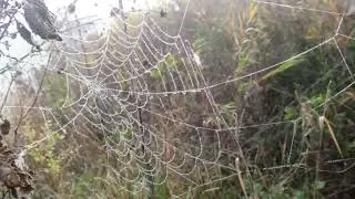 Мой фильм wlmp mp4     Он нёс свою ношу счастливо, как сладкую ношу Любви