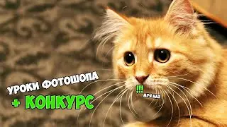 УРОКИ ФОТОШОПА #1 -||- + КОНКУРС НА 50 ГОЛОСОВ