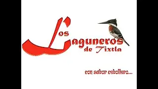 Los Laguneros de Tixtla Popurri cumbias