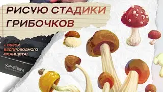 Рисую для души | Графический планшет БЕЗ ПРОВОДОВ XPPEN