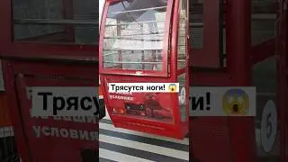 #shots #short #shortvideo #shortsvideo #belarus #беларусь #гродно #travel #парк #путешествия #весело