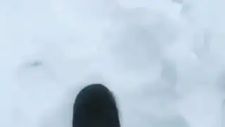 Проголодался