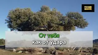 Королев Виктор   Дым Кольцами