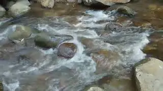 Río Magdalena - Los Dinamos