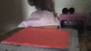 Семья  лпс.