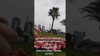 Как определить где Север,а где Юг #юмор