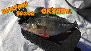 Вечерний выход окуня. Апрельская рыбалка на Онежском озере. 👍👍👍