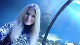 Морская сказка