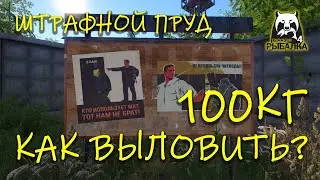 Русская рыбалка 4. рр4. Штрафной пруд. Как закрыть 100кг рыбы?