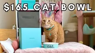 Is this Tiffany & Co. Cat Bowl worth $165? HONEST REVIEW