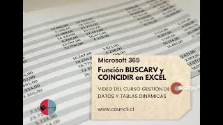 Aprende la función BUSCARV y COINCIDIR en Excel 365