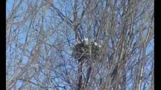 Видеозарисовки Мурманск зима 3.mp4