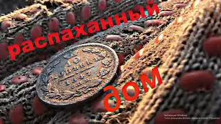 Что можно найти на распаханном доме?
