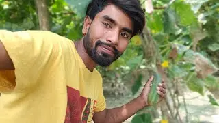 Cucumber ka khet dekhiae vlog 🥒