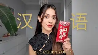 How I Learned Chinese by Myself (Completely Free)