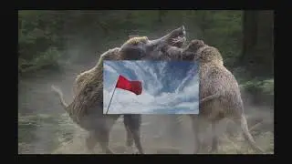 Reaktionen Marcherer