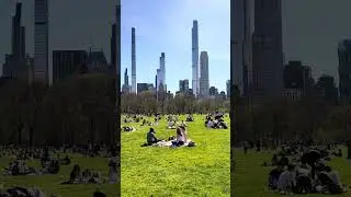 Central Park April 14, 2024