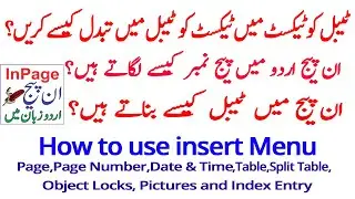 How to Insert Page Number in Inpage Urdu 2009 | Use Insert Menu in Inpage