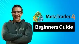 MetaTrader 4: Tutorial for Beginners (2024) 