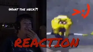 Lost Spongebob Short Nickelodeon 2002 - Reaction