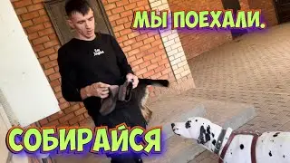 Подготовка к поездке на Дальний Восток /уборка во дворе/сбор урожая вкусности к чаю
