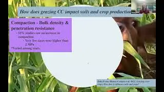Optimizing Forage Availability with Cover Crop Grazing